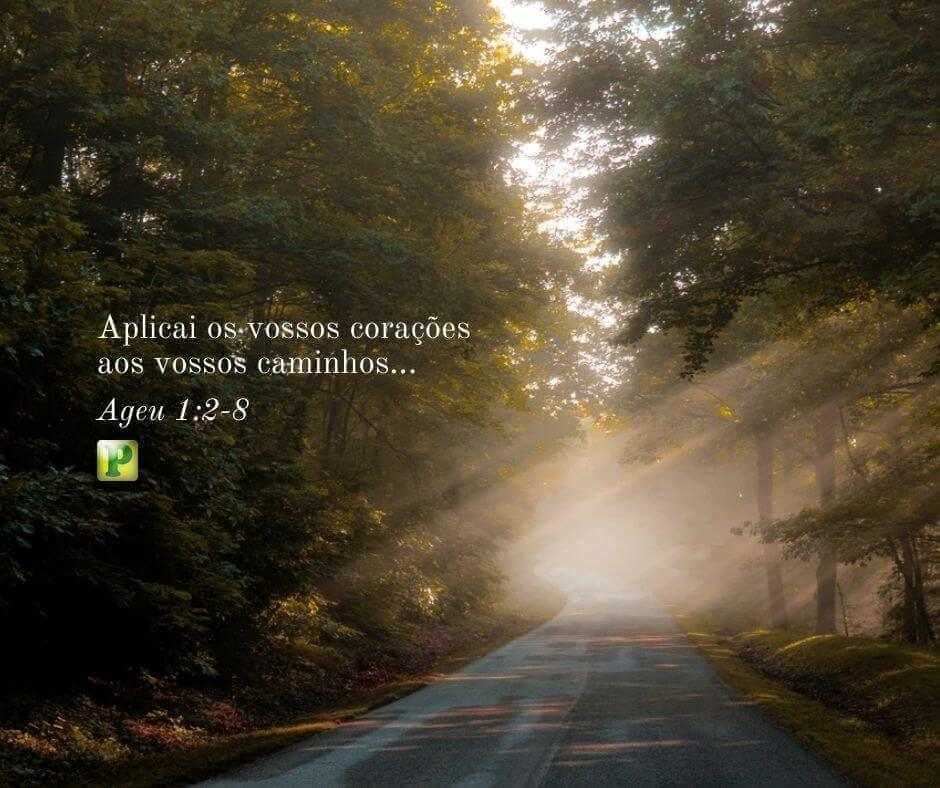 Aplicai os vossos corações... - Ageu 1:2-8