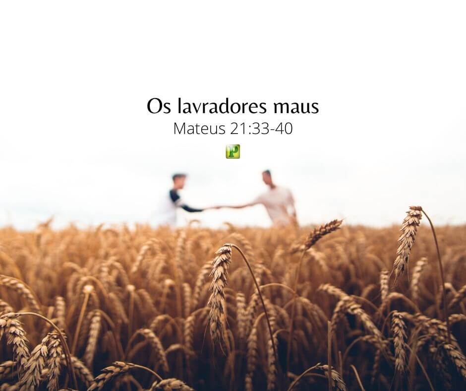 Os lavradores maus - Mateus 21:33-40