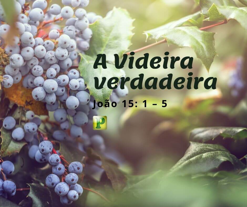 A Videira verdadeira - João 15:1-5