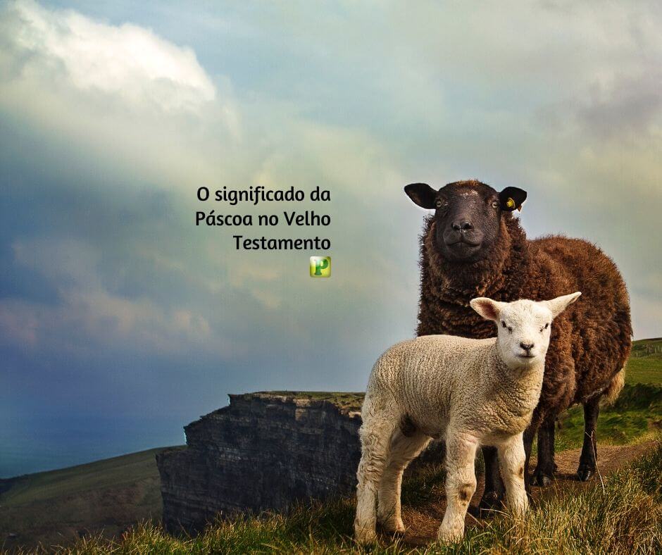 O significado da Páscoa no Velho Testamento - Êxodo 12:1-13