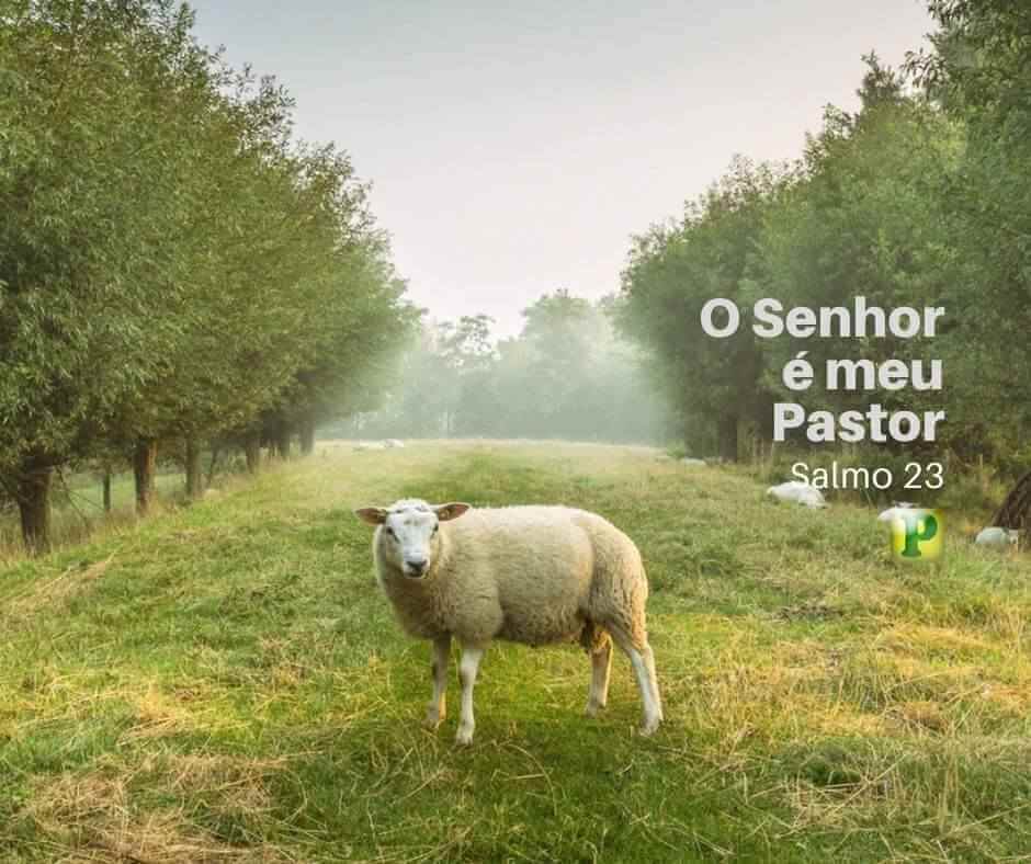 mensagem salmo 23 O senhor é o meu pastor, nada me faltará