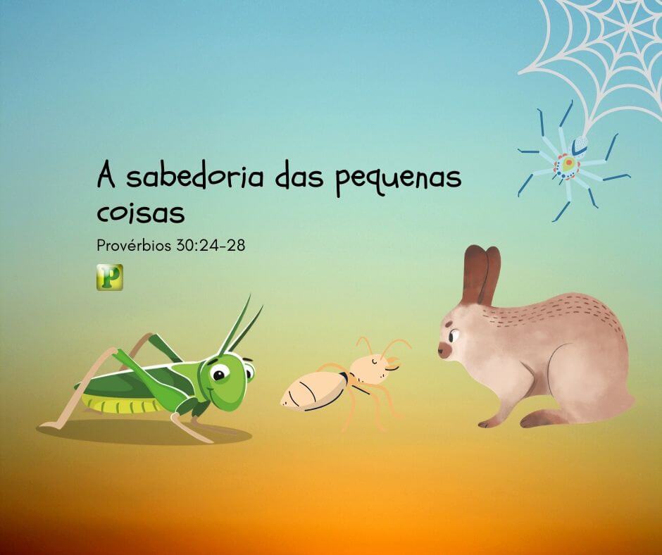 A sabedoria das pequenas coisas - Provérbios 30:24-28 - Pregação