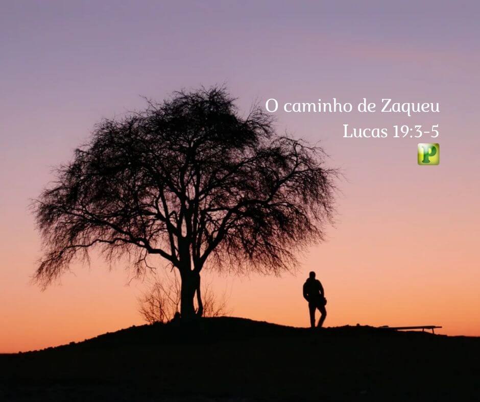 O caminho de Zaqueu - Lucas 19:3-5