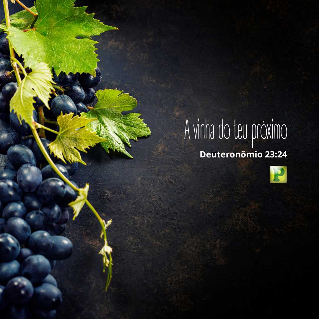 A vinha do teu próximo Deuteronômio 23:24