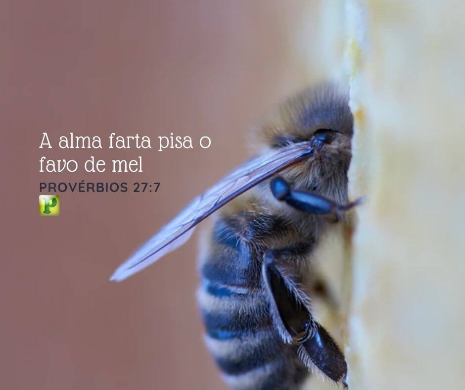 A alma farta pisa o favo de mel - Provérbios 27:7