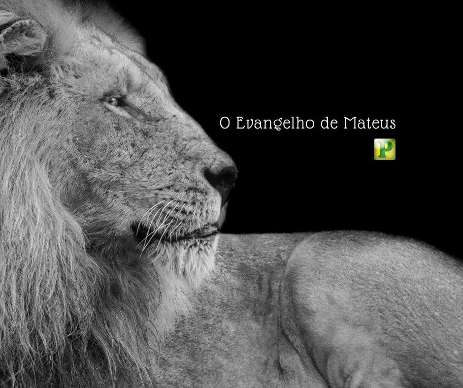 O Evangelho de Mateus - O Rei dos Judeus