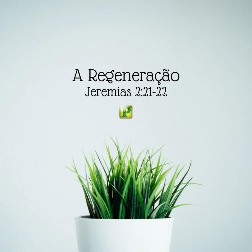 A Regeneração - Jeremias 2:21-22