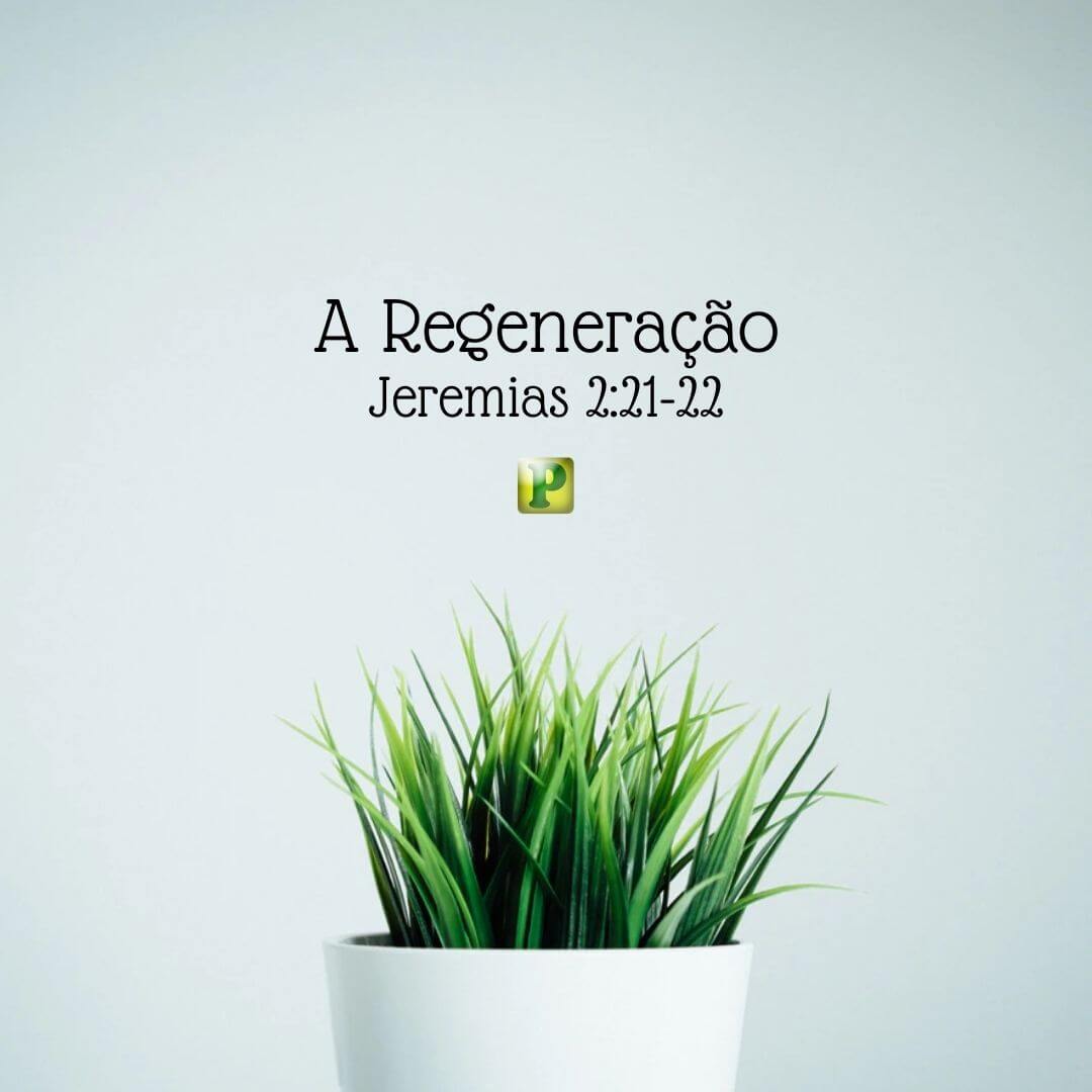 A Regeneração - Jeremias 2:21-22