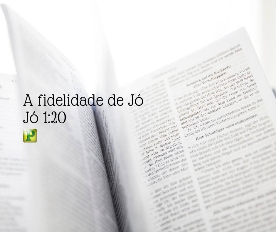 A fidelidade de Jó - Jó 1:20
