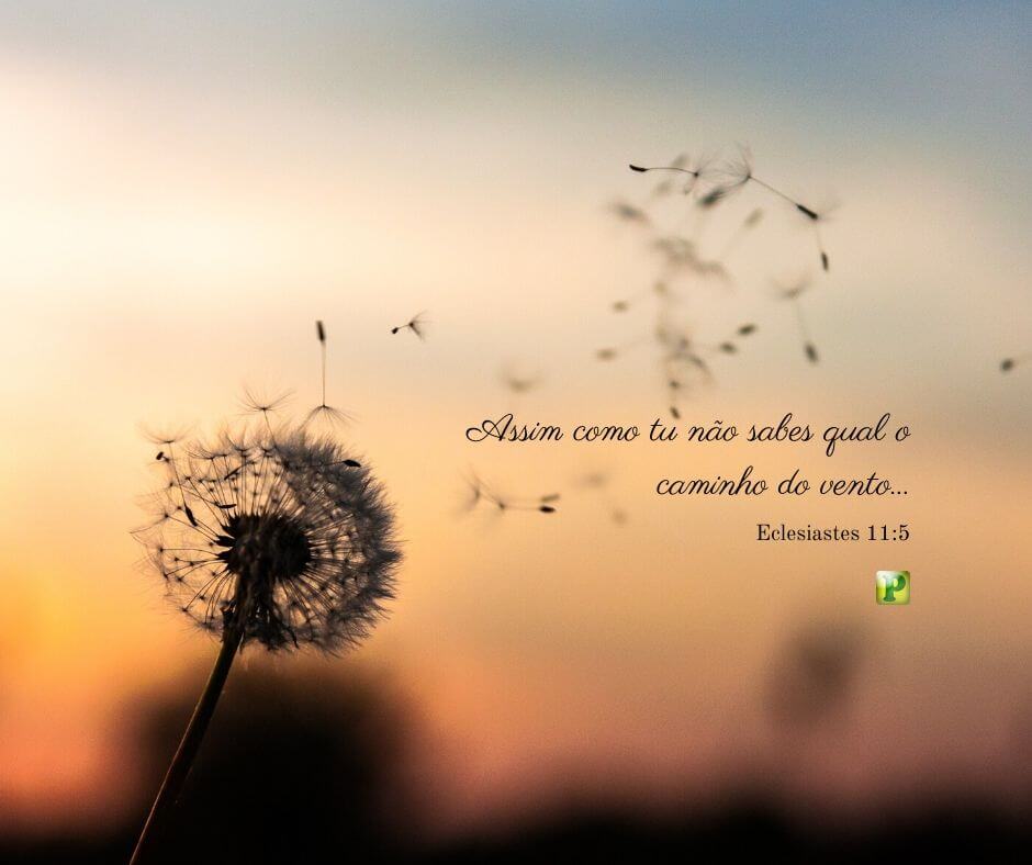 Mistérios de Deus - Eclesiastes 11:5