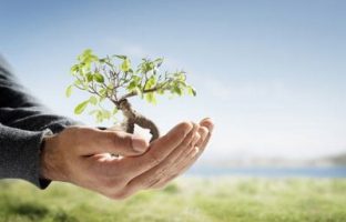 Ilustrações Bíblicas – Plantar para Colher img