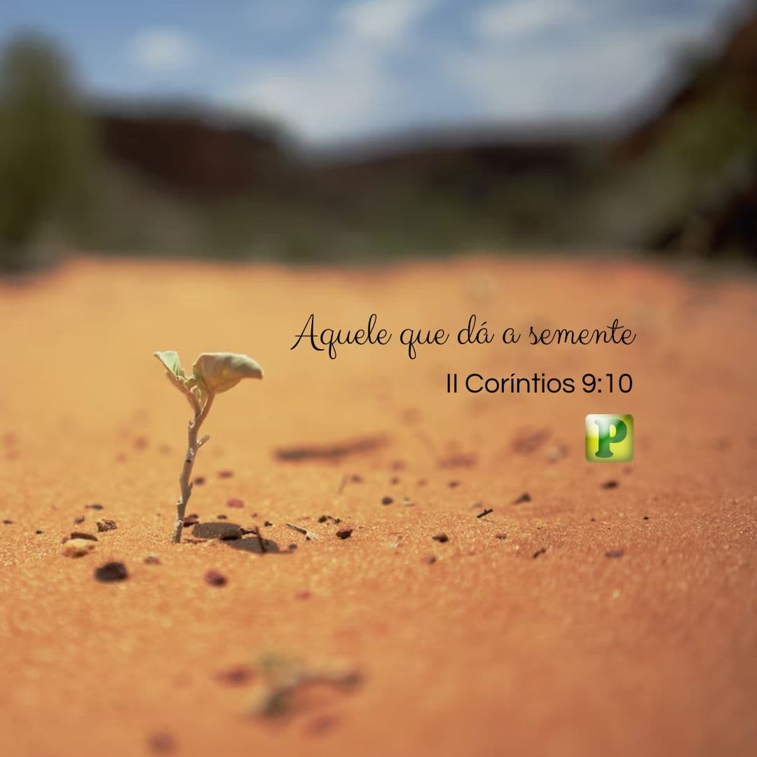 Aquele que dá a semente - 2 Coríntios 9:10