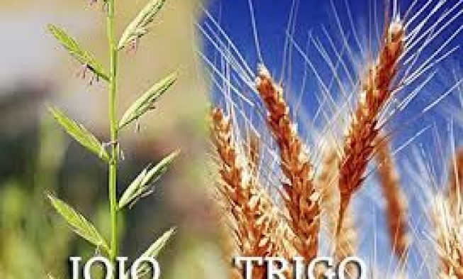 A SEMENTE DO EVANGELHO DE JESUS CRISTO – Gálatas 1:11-12 img