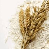 ALIMENTO PARA A VIDA – II Reis 4:38-41 img