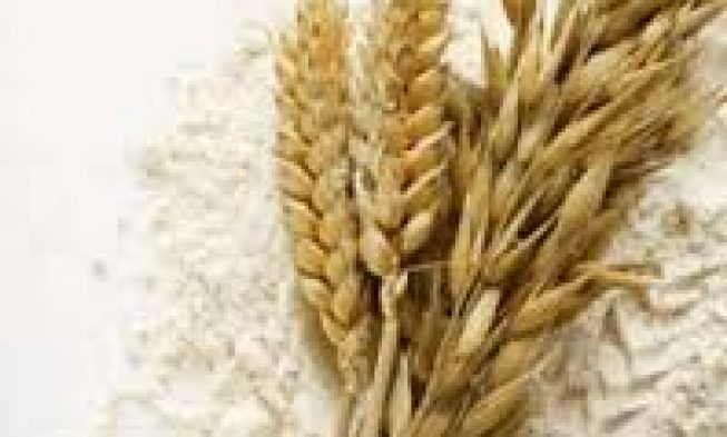 ALIMENTO PARA A VIDA – II Reis 4:38-41 img