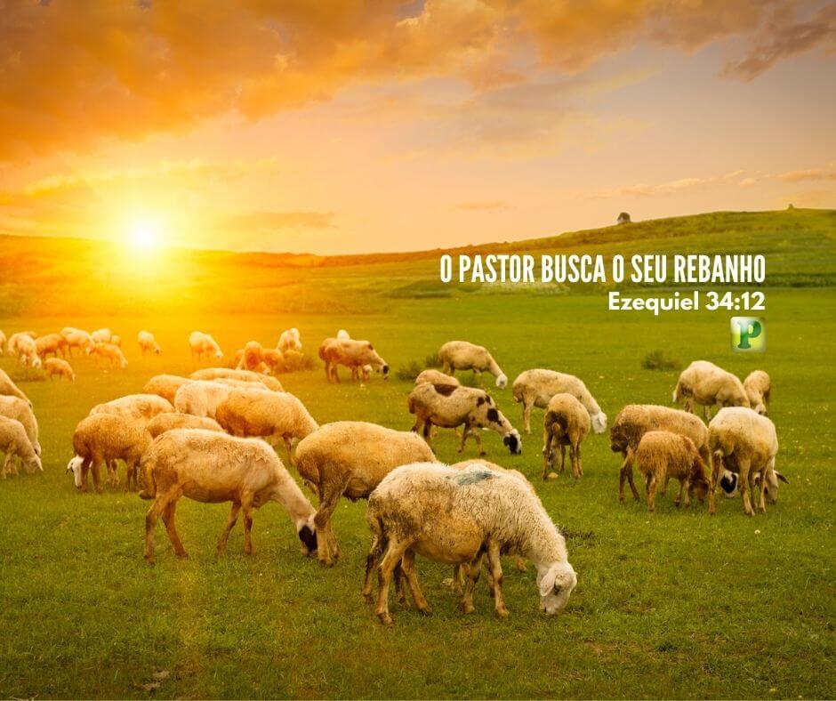 O Pastor busca o seu rebanho - Ezequiel 34:12