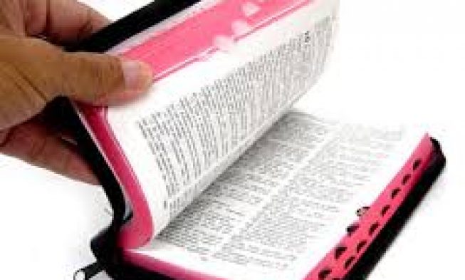 Estudo Bíblico – A Prática da Palavra, MATEUS 7:24-27 img