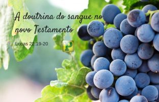 Estudos Bíblicos – A Doutrina do Sangue no Novo Testamento img