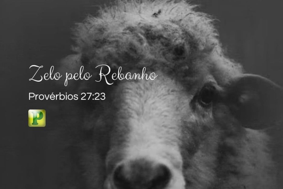 Zelo pelo Rebanho - Provérbios 27:23