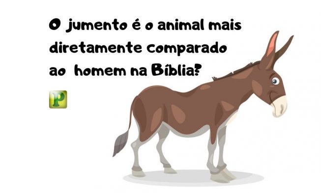 Você sabia que o jumento é o animal mais diretamente comparado ao homem na Bíblia? img
