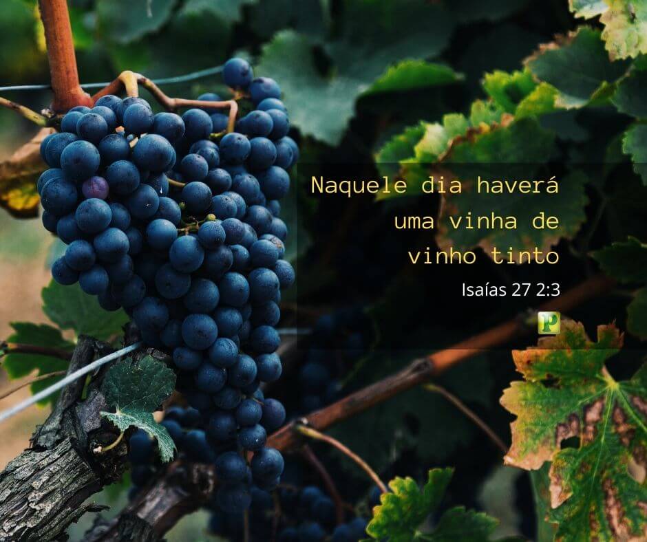 Isaías 27:2-3 - Naquele dia haverá uma vinha de vinho tinto - Pregação