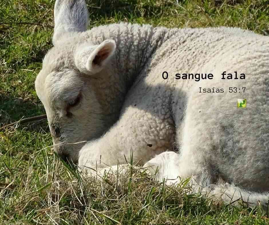 Isaías 53:7 - O Sangue fala