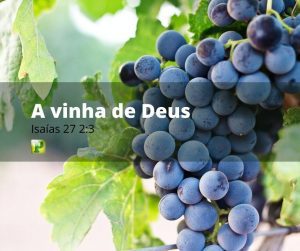Isaías 27:2-3 - A Vinha de Deus