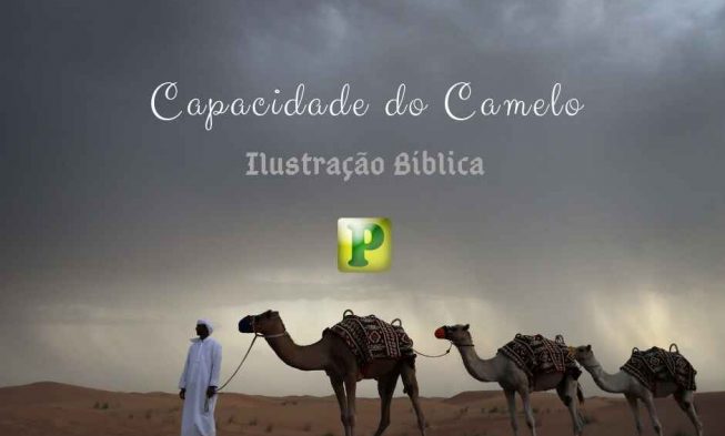 Ilustração bíblica – Capacidade do Camelo img