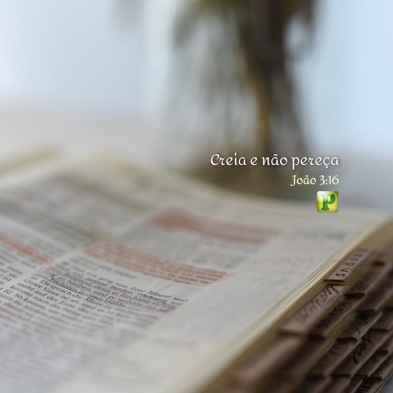 João 3:16 - Creia e não pereça