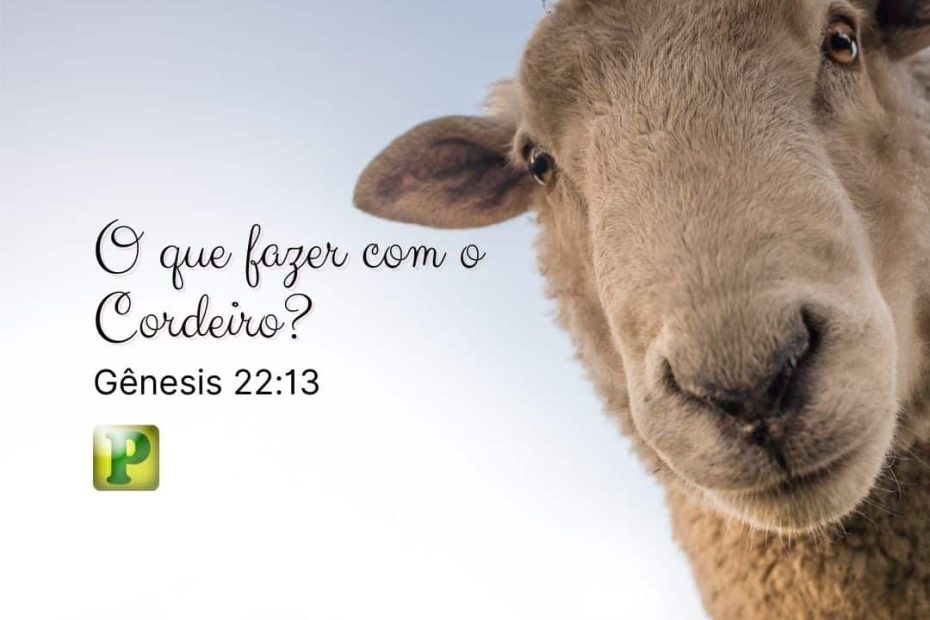O que fazer com o cordeiro? - Gênesis 22:13