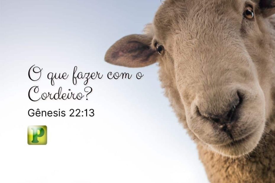 O que fazer com o cordeiro? - Gênesis 22:13