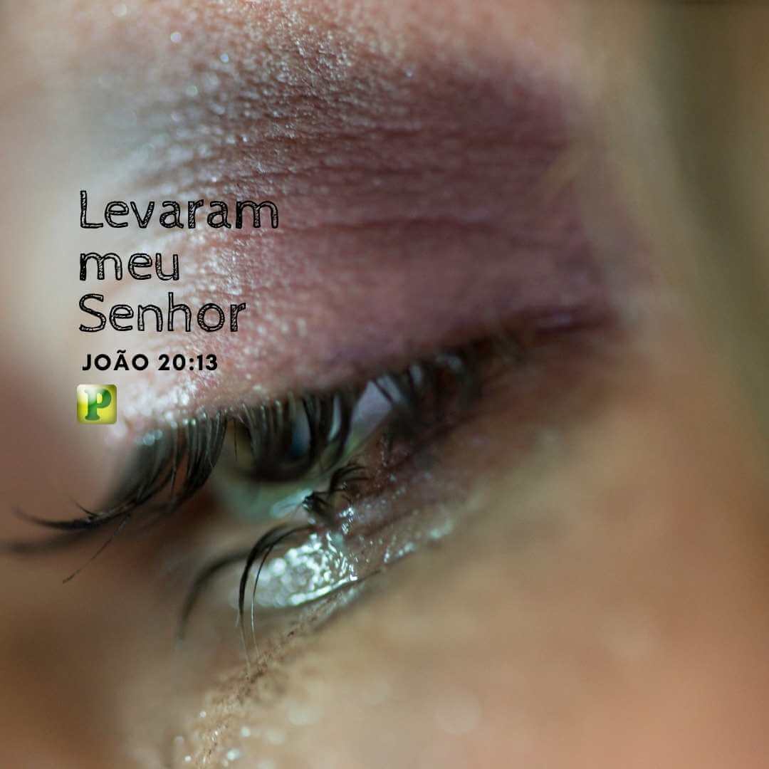 Levaram meu Senhor - João 20:13