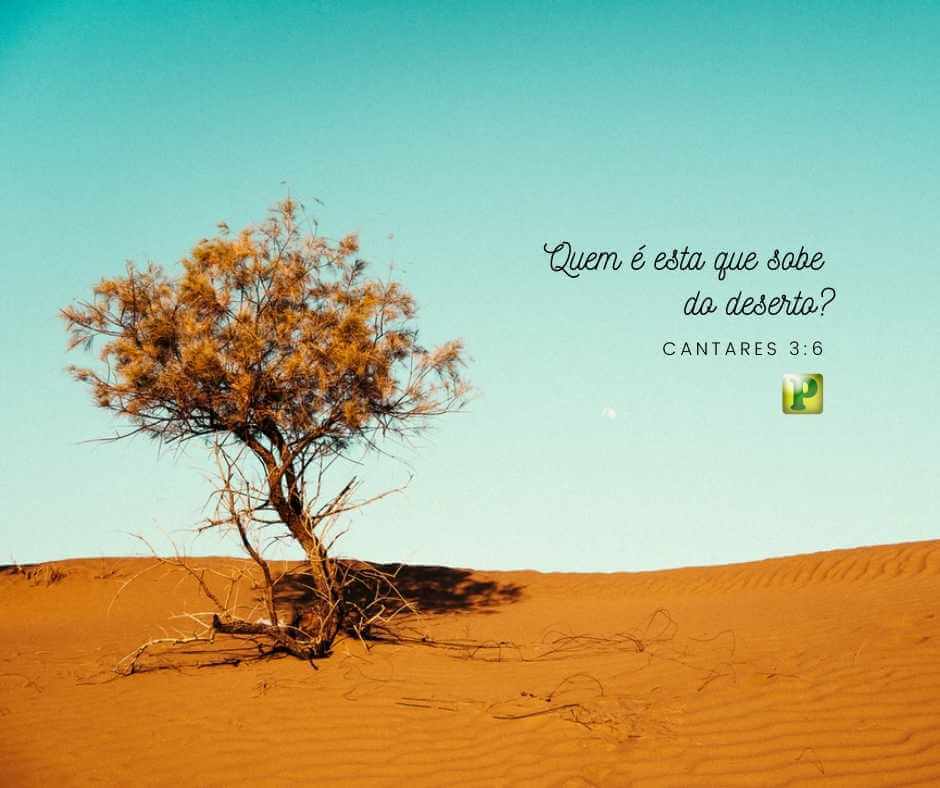 Quem é esta que sobe do deserto? - Cantares 3:6