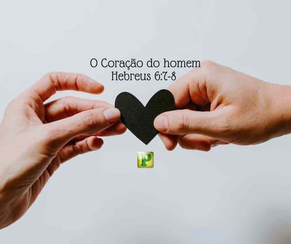 O Coração do homem - Hebreus 6:7-8