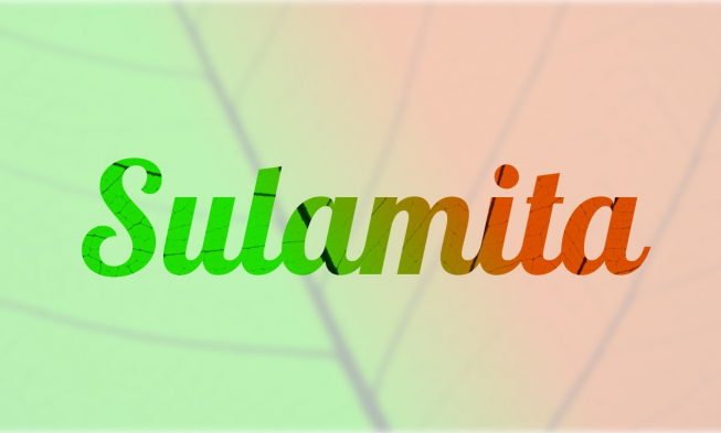 A volta da Sulamita – Cantares 6:12-13 img