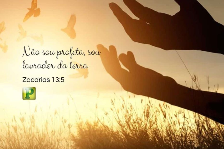 Não sou profeta, sou lavrador da terra - Zacarias 13:5