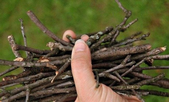 Um homem apanhando lenha… – Números 15:32 e 35 img