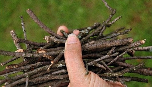 Um homem apanhando lenha… – Números 15:32 e 35 img