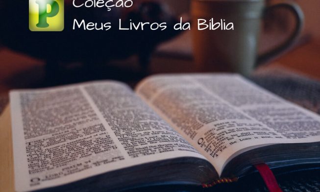 Meus Livros da Bíblia img