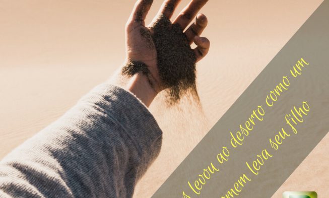 Vos levou ao deserto – Deuteronômio 1:31 img
