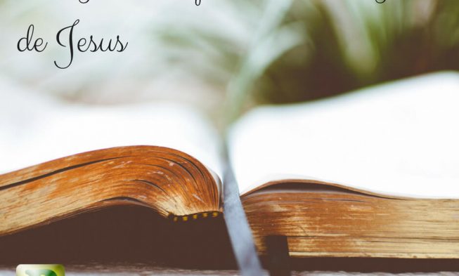 Livro – O segredo do poder do Sangue de Jesus img