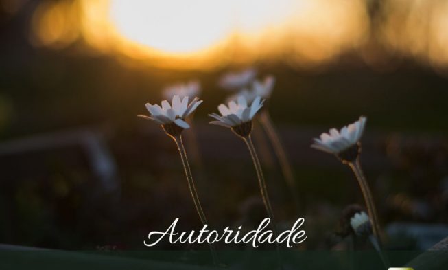 Autoridade – Esboço Bíblico img