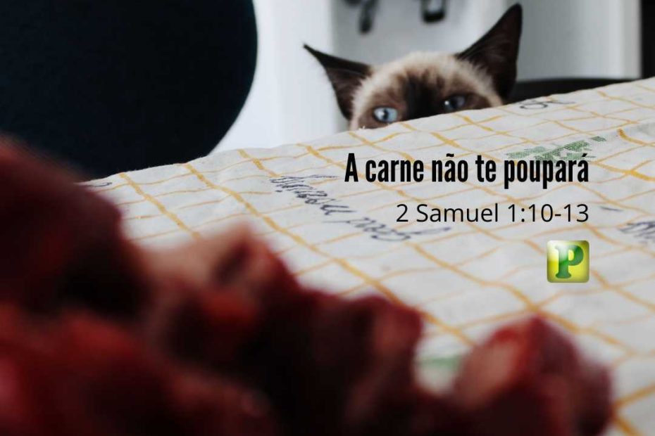 A carne não te poupará 2 Samuel 1:10-13