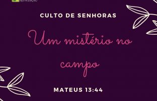 Tesouro – Mateus 13:44 img
