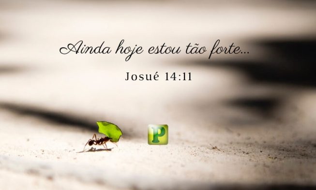 Ainda hoje estou tão forte… – Josué 14:11 img