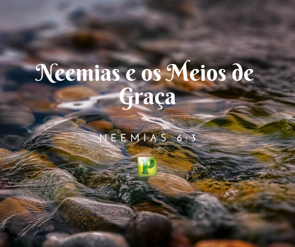 Neemias e os Meios de Graça - Neemias 6:3