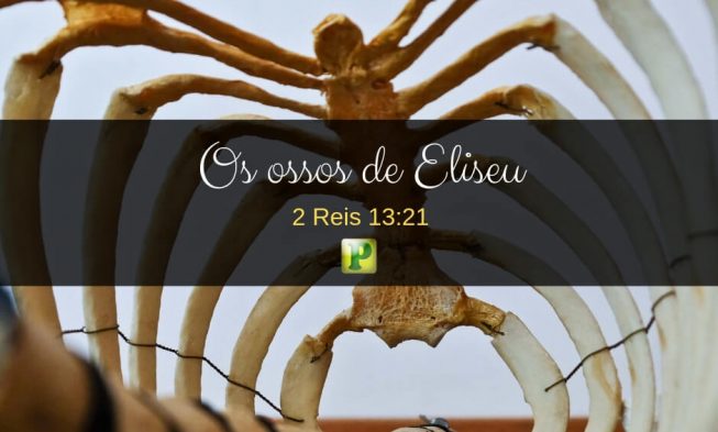 2 Reis 13:21 – Os ossos de Eliseu img