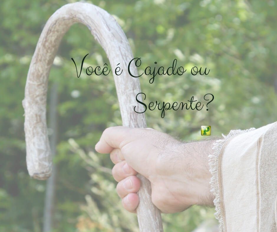 Exodus 4:2-3 - Staff or Serpent?
