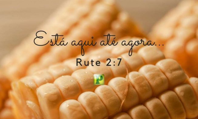 Rute 2:7 – Está aqui até agora… img