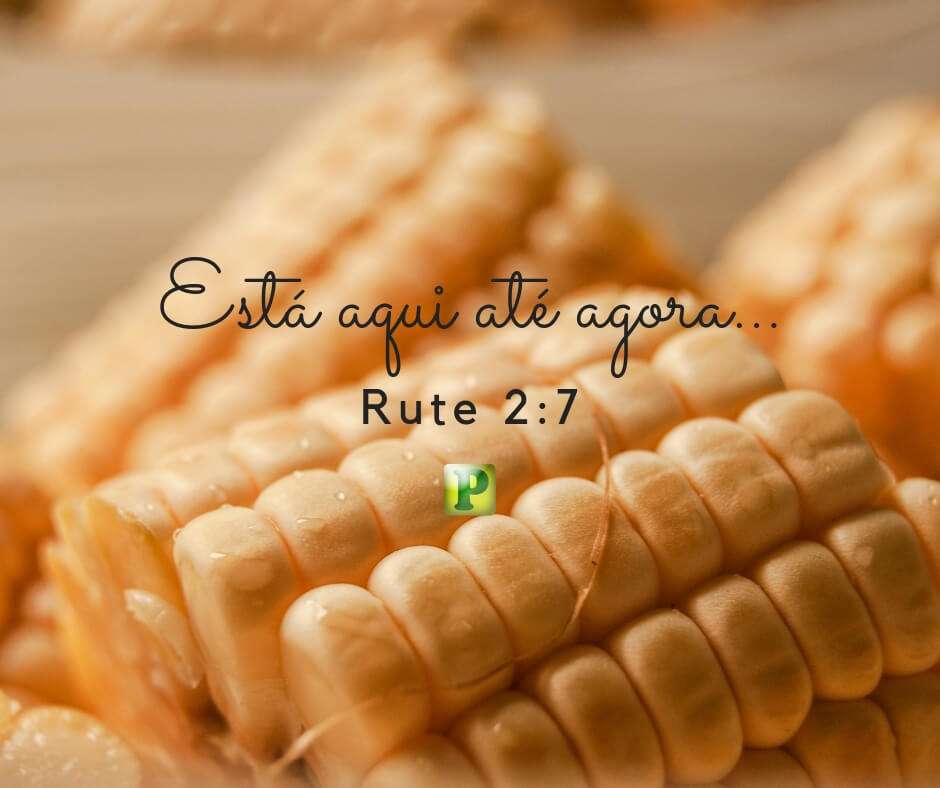 Ruth 2:7 - He's been here until now...